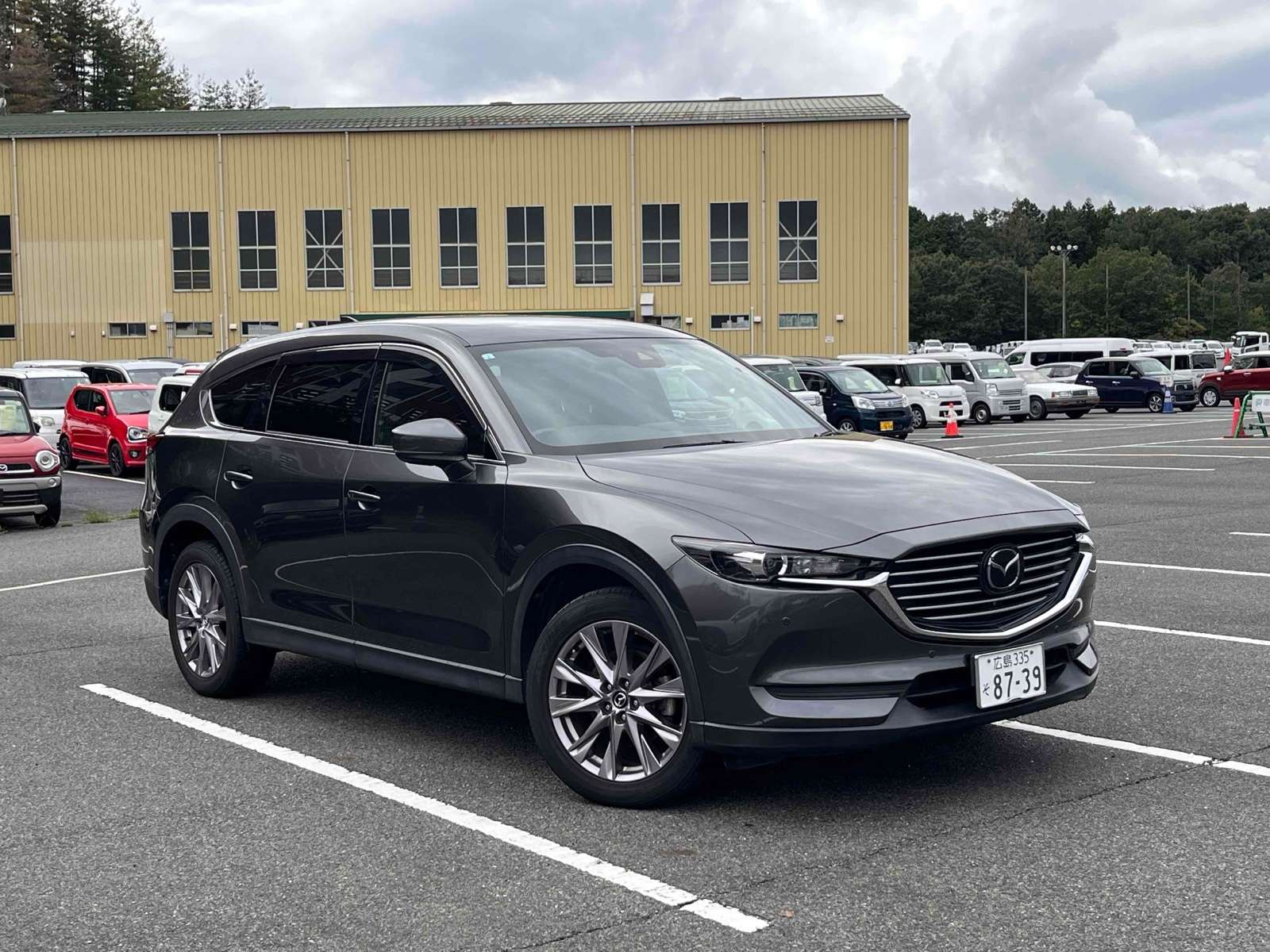 2019 Mazda Cx-8 Petrol