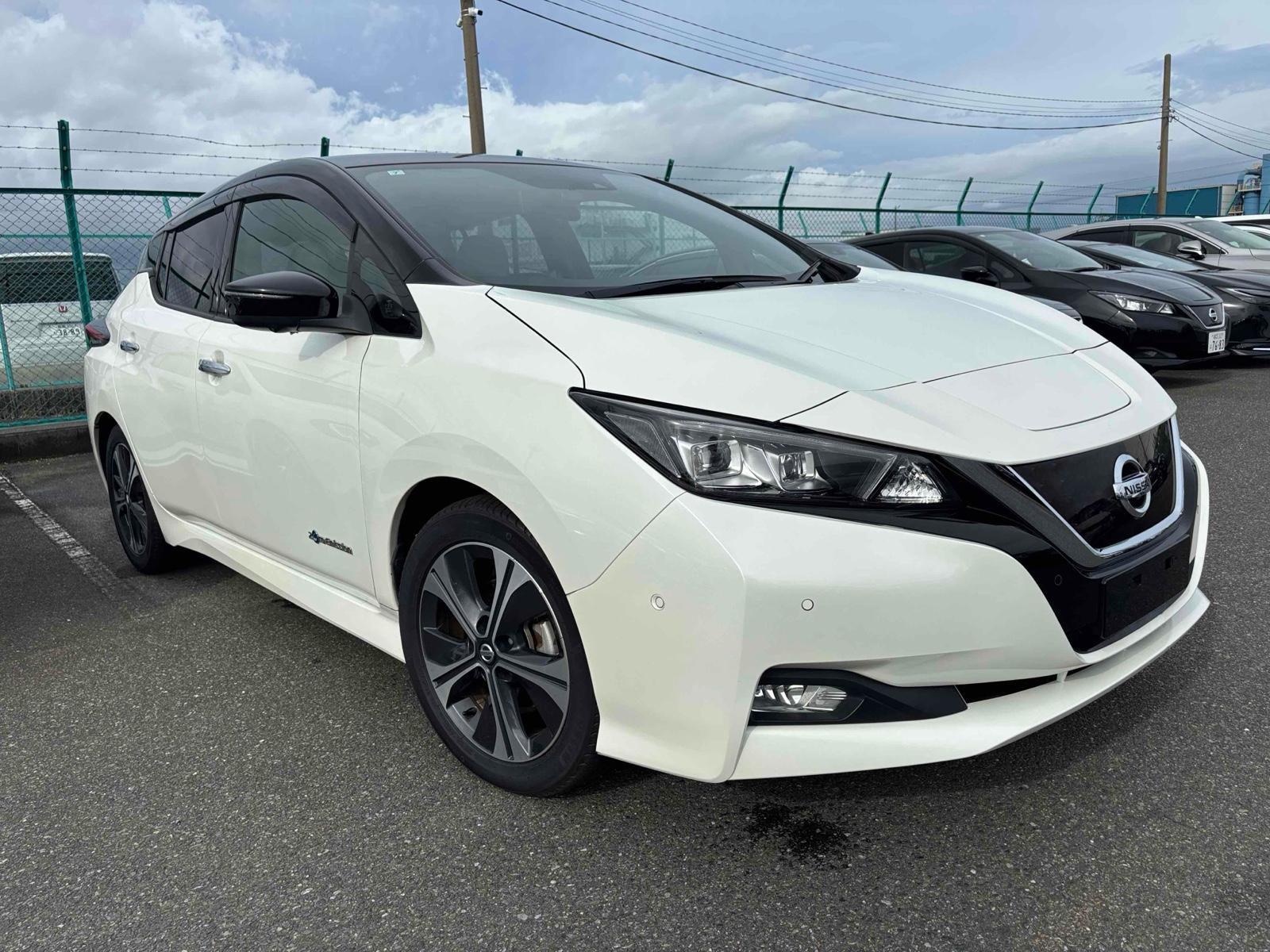 2019 Nissan LEAF 70,000 km