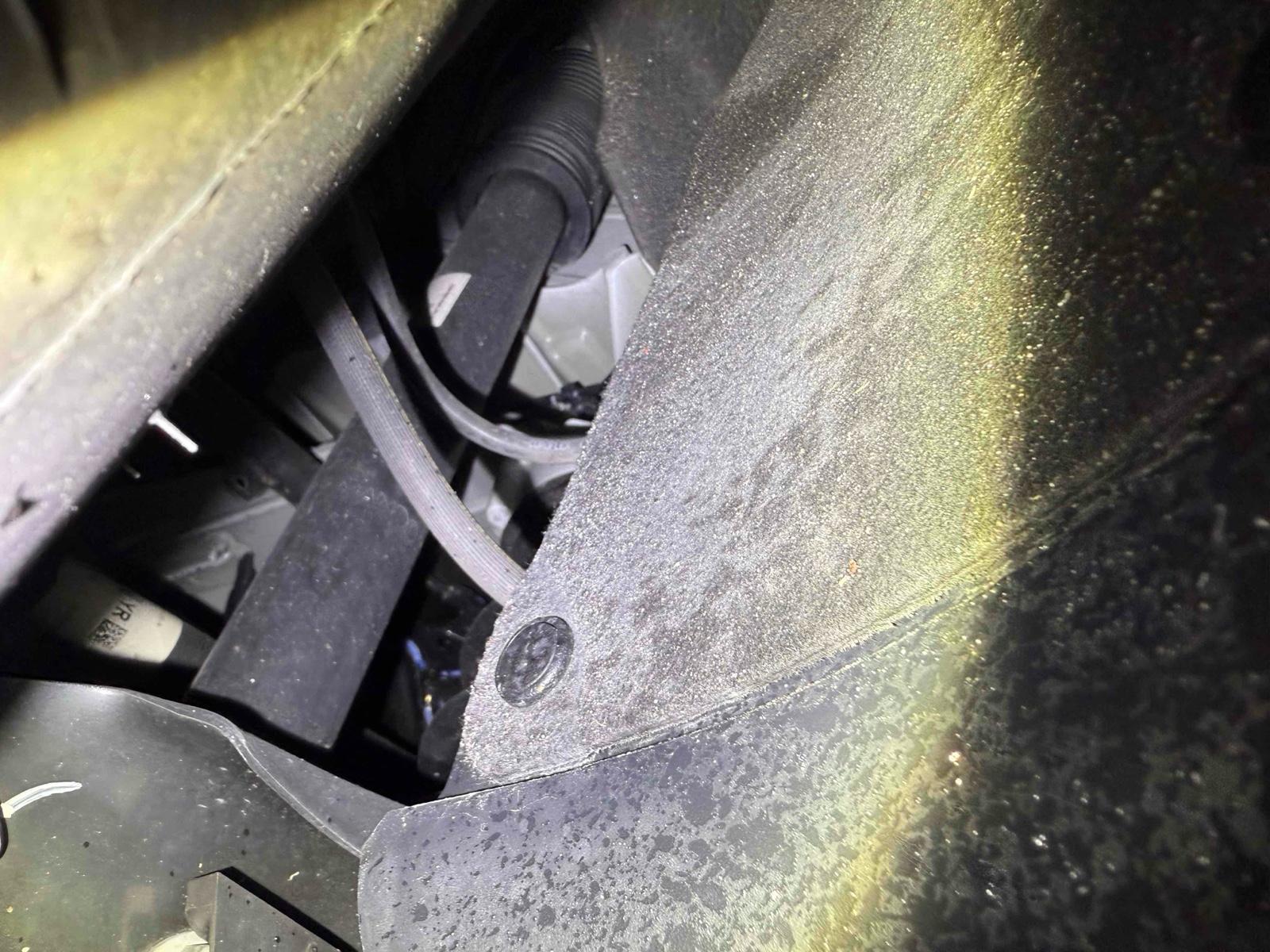 TESLA MODEL Y RWD Image 18