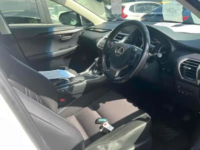 LEXUS NX NX300H Image 9