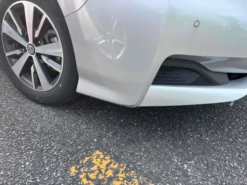 NISSAN LEAF X Image 12